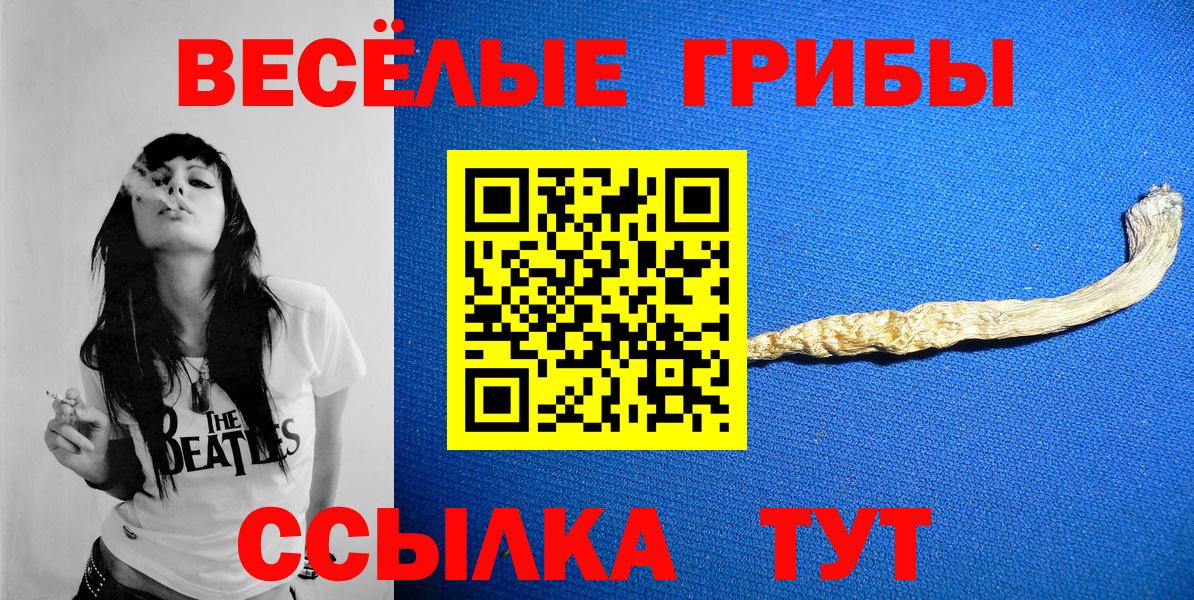 Псилоцибиновые грибы Psilocybine cubensis  Псилоцибиновые грибы Psilocybe  Краснознаменск  как найти закладки  Вход с VPN 