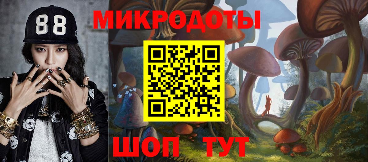 Псилоцибиновые грибы Cubensis Краснознаменск